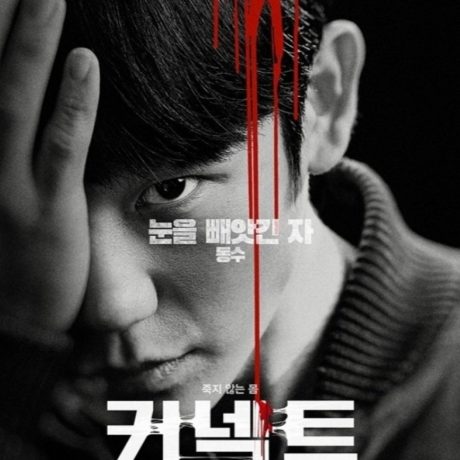 Sinopsis dan Detail Drama Korea Connect