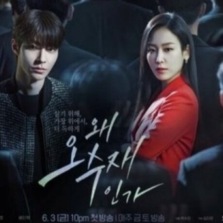 Sinopsis dan Detail Pemain Drama Korea Why Her?