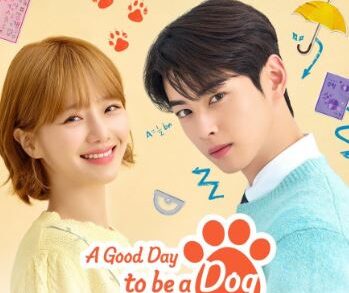 Sinopsis dan Detail Drama Korea A Good Day to Be a Dog